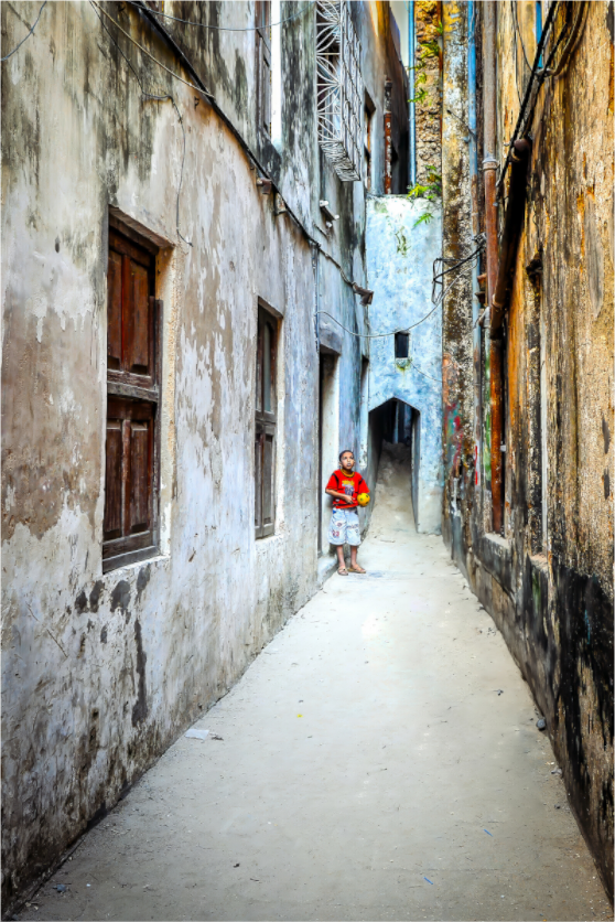 Main image Hidden pathways