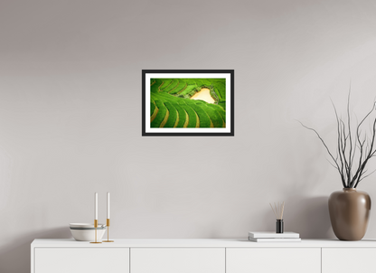 45 x 30 cm, Fine art prints mounted on a black wood frame with passe-partout Layers of life