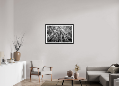 90 x 60 cm, Fine art prints mounted on a black wood frame with passe-partout Tree of life