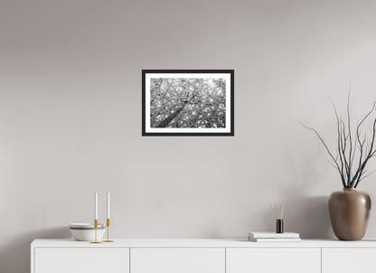 45 x 30 cm, Fine art prints mounted on a black wood frame with passe-partout Rain of light