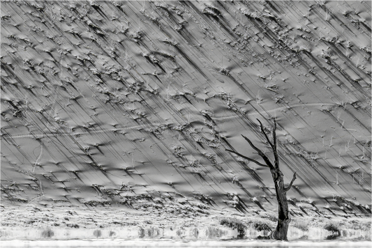 Main image Sossusvlei