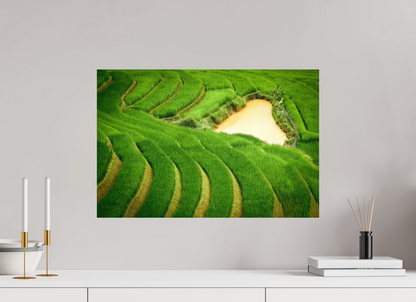 60 x 40 cm, Fine art prints mounted on Dibond Layers of life