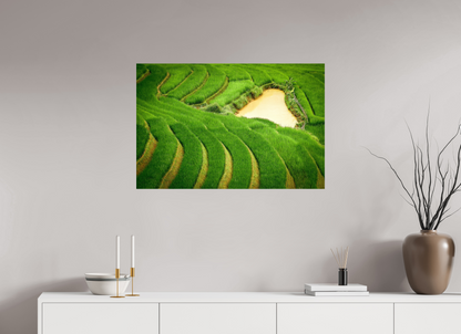 90 x 60 cm, Fine art prints mounted on Dibond Layers of life