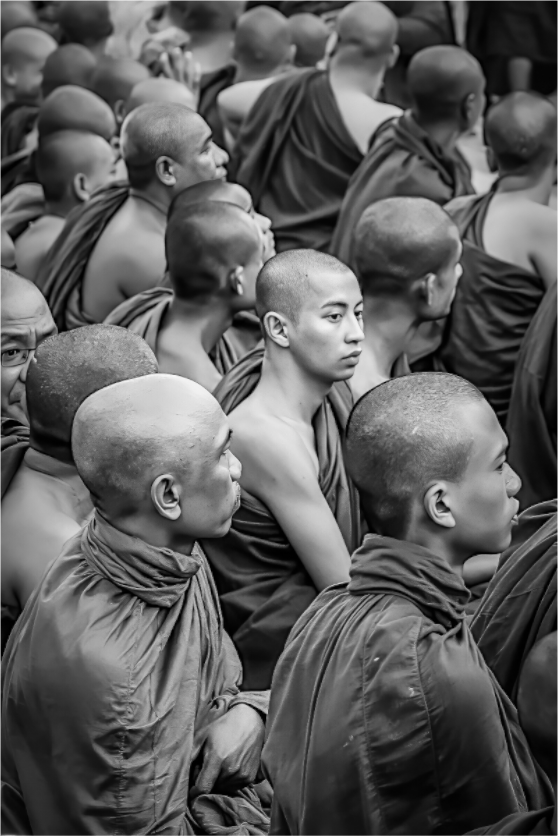 Main image Silent harmony