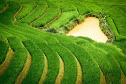 Main image Layers of life