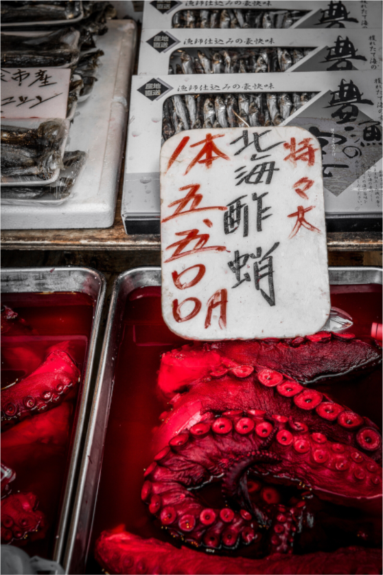 Main image Red octopus