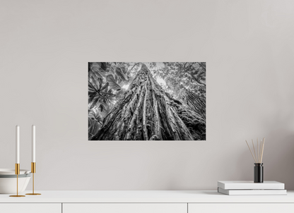 45 x 30 cm, Fine art prints mounted on Dibond Tree of life