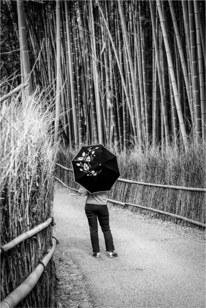 Main image Arashiyama