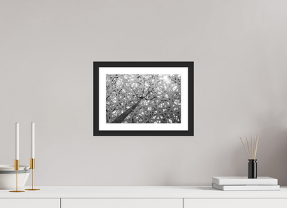30 x 20 cm, Fine art prints mounted on a black wood frame with passe-partout Rain of light
